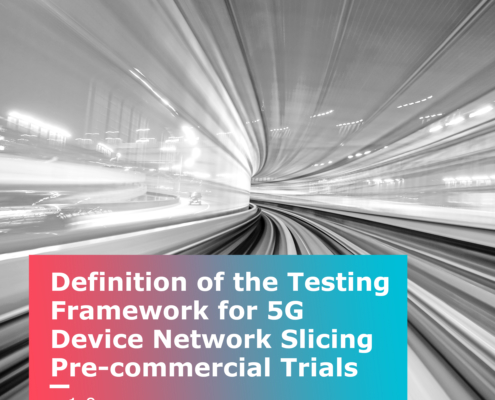 220228_Definition-of-the-Testing-Framework_Cover