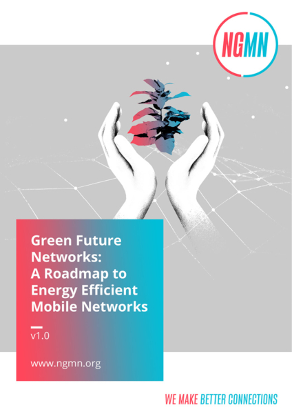GFN_Energy_Efficiency_Roadmap_V1.0