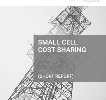 Small cell economics short external report v1 1 clean